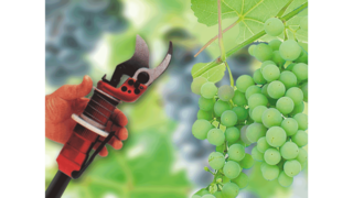 KAESER priemyselné piestové kompresory vo vinohradníctve.